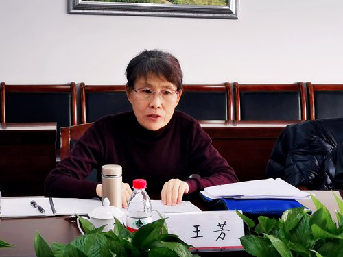 市纪委市监委第七督导检查室副主任段晓
